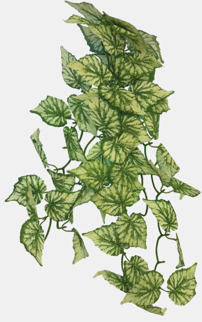 REPTO PLANT HANGING HEDERA 65 CM