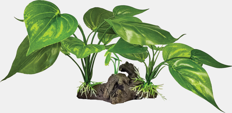 REPTO PLANT ON DECO LIGHT GREEN