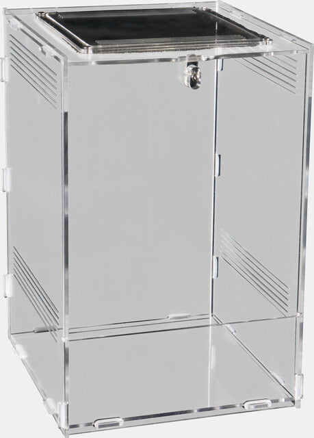REPTO TERRA CLEAR 19.5X18.5X29 CM