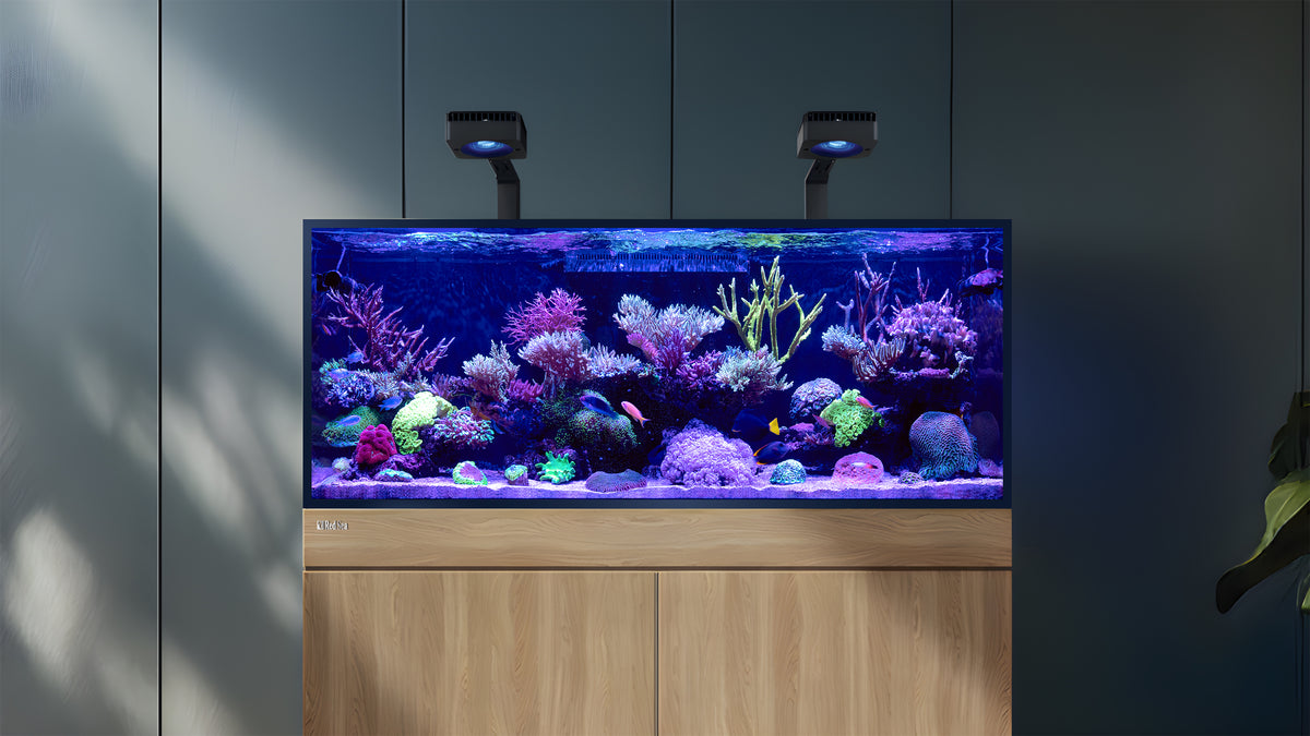 Red Sea REEF-FRAME 170 — Red Sea