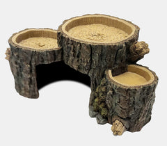 REPTO DECO TRUNK