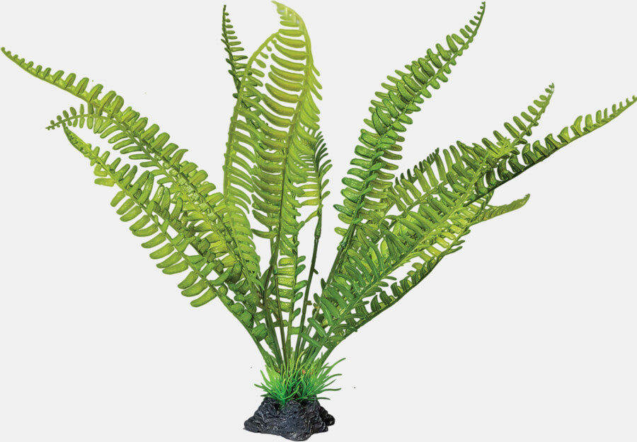 REPTO PLANT STANDING FERN