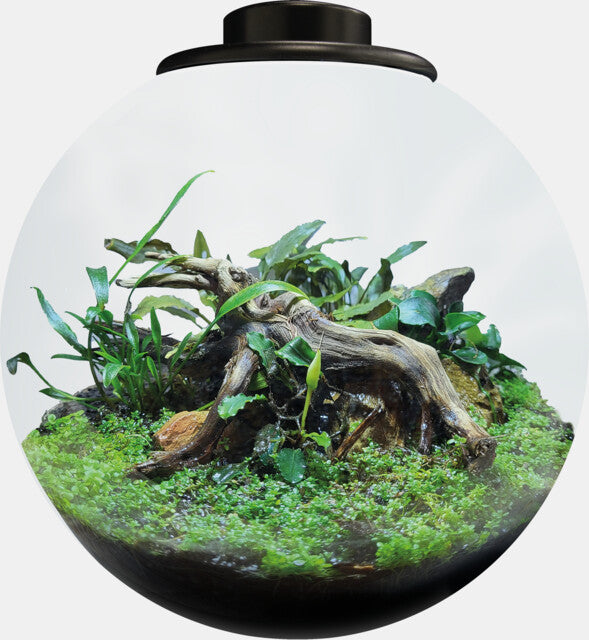 SF BIO ART BOWL 225 WIT OF ZWART