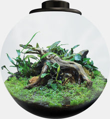 SF BIO ART BOWL 225 WIT OF ZWART