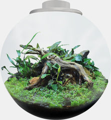 SF BIO ART BOWL 225 WIT OF ZWART