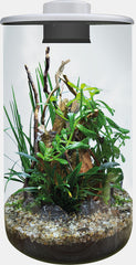 SF BIO ART CYLINDER 285 WIT OF ZWART