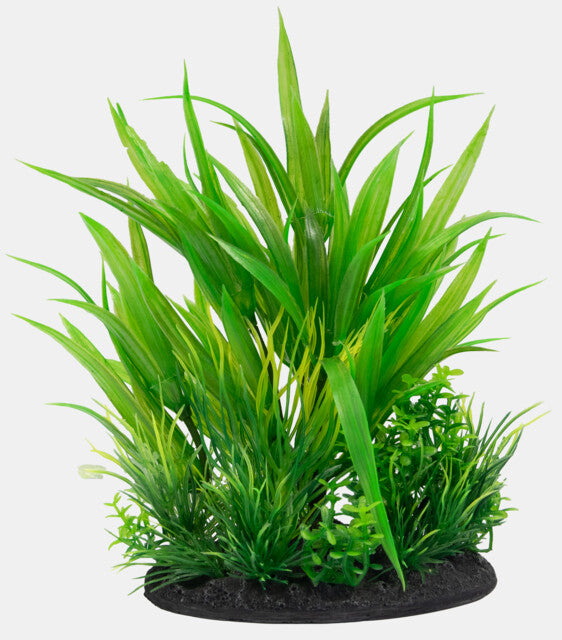 SF DECO PLANT S NR 6