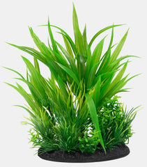 SF DECO PLANT S NR 6