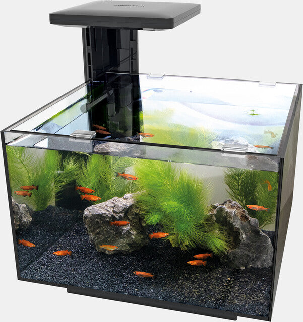 SF QUBIQ 20 ZWART