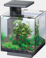 SF QUBIQ 15 LED ZWART