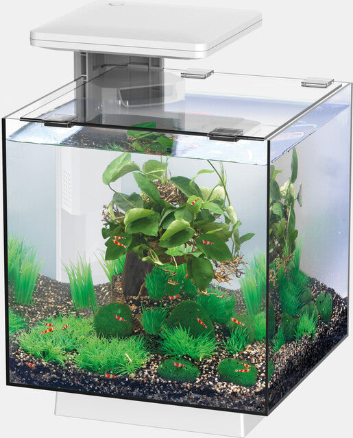 SF QUBIQ 15 LED WIT