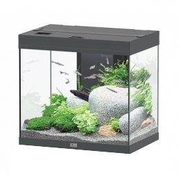 Aquatlantis Aquarium Splendid 60 Ultra Biobox Anthraciet-097