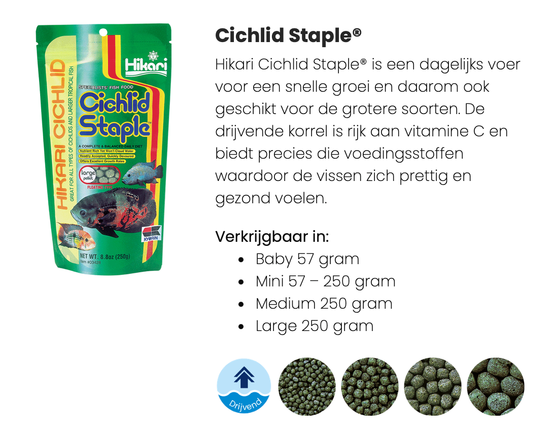 Hikari cichlid staple