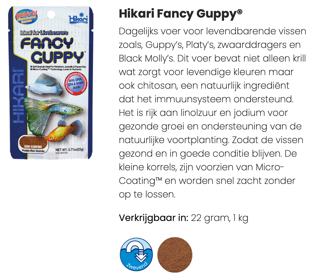 Hikari Fancy Guppy