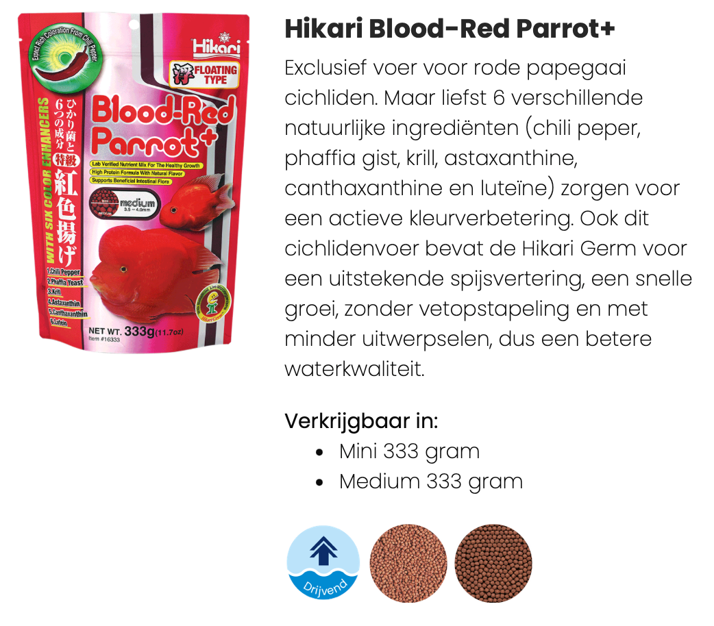 Hikari Blood Red Parrot