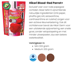 Hikari blood Red Parrot