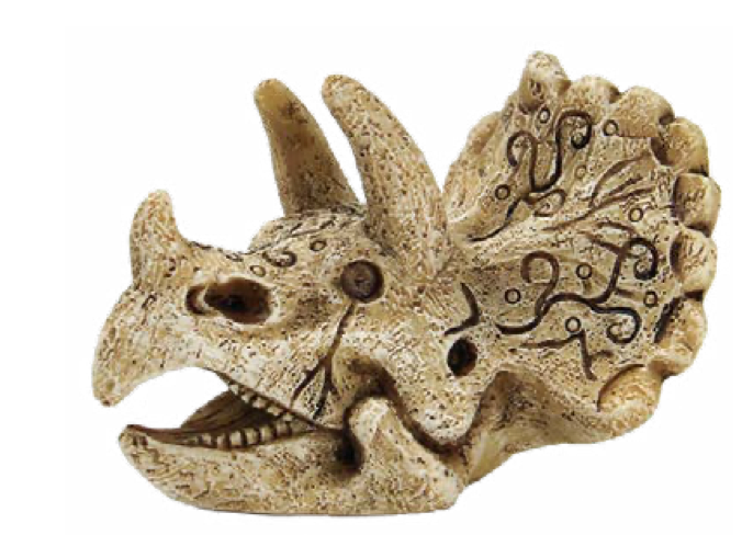 Superfish skull