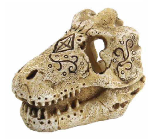 Superfish skull