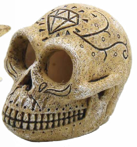 Superfish skull