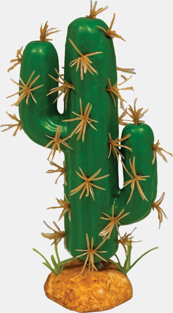 REPTO PLANT CACTUS TRIDENT L