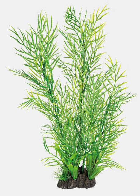 SuperFish Art Plant 40 cm Ceratopteris