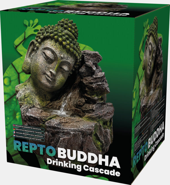 REPTO BUDDHA DRINKING CASCADE