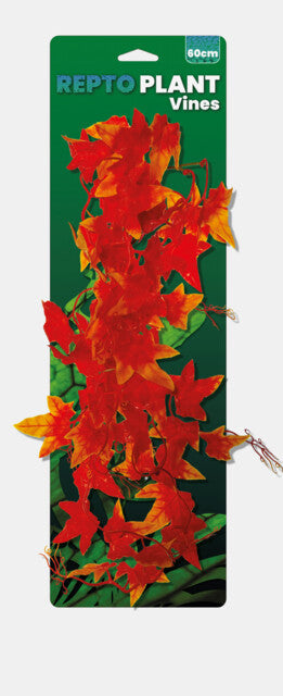 REPTO PLANT VINES ORANGE HEDERA 60 CM