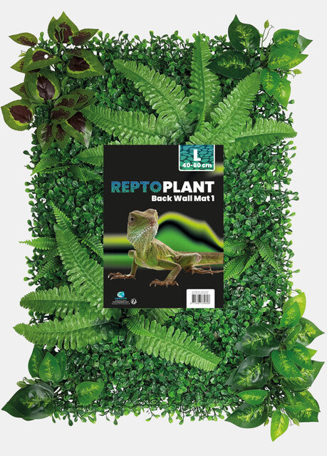 REPTO PLANT ACHTERWAND MAT 40-60CM 1
