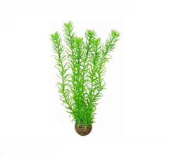SF Easy Plant High - 30 cm (nr. 1)
