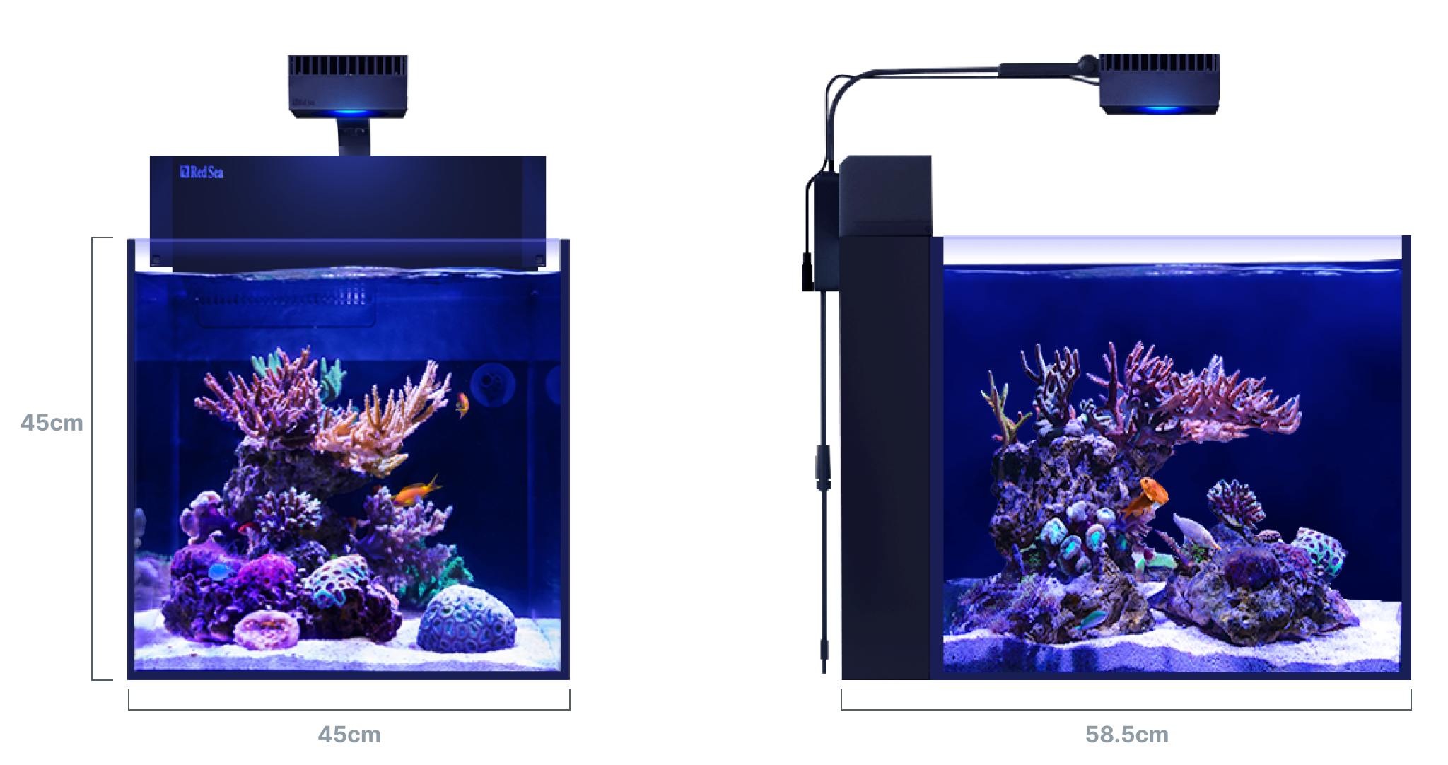 MAX® NANO Peninsula G2