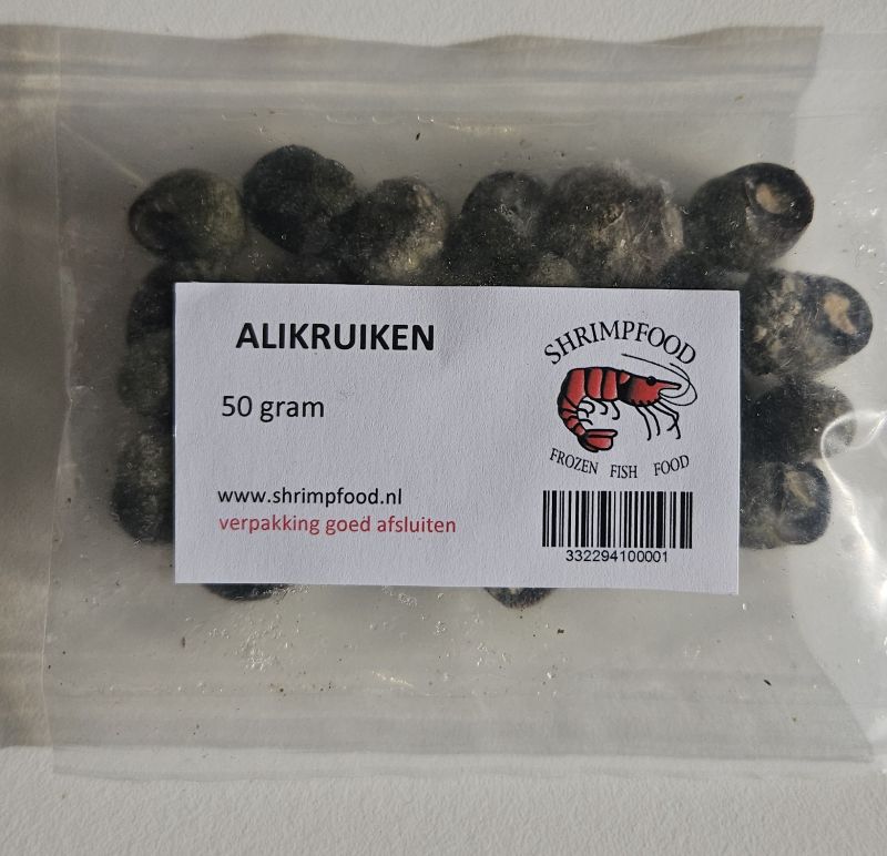 Ali Jugs (Alikruiken) - 50g