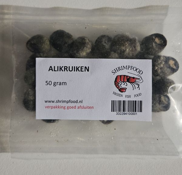Ali Jugs (Alikruiken) - 50g