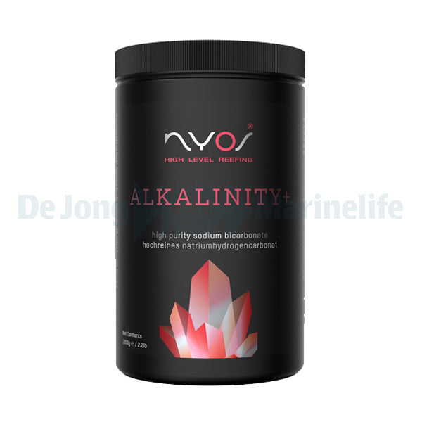 Alkalinity+ 1000 g