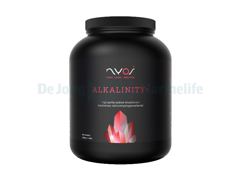Alkalinity+ 4000 g