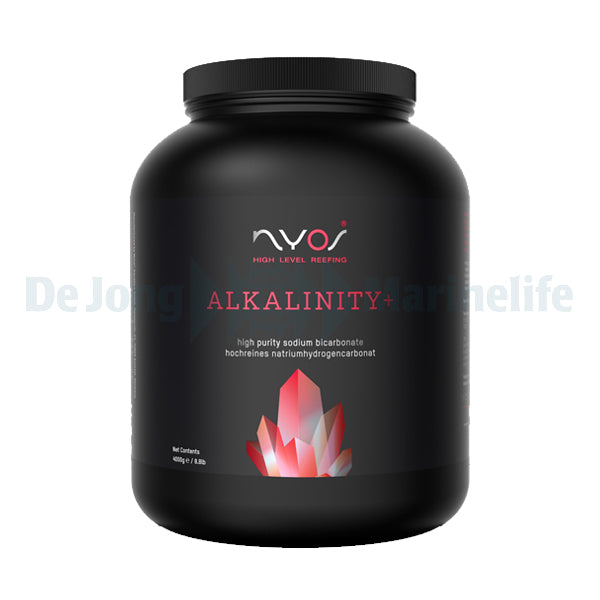 Alkalinity+ 4000 g
