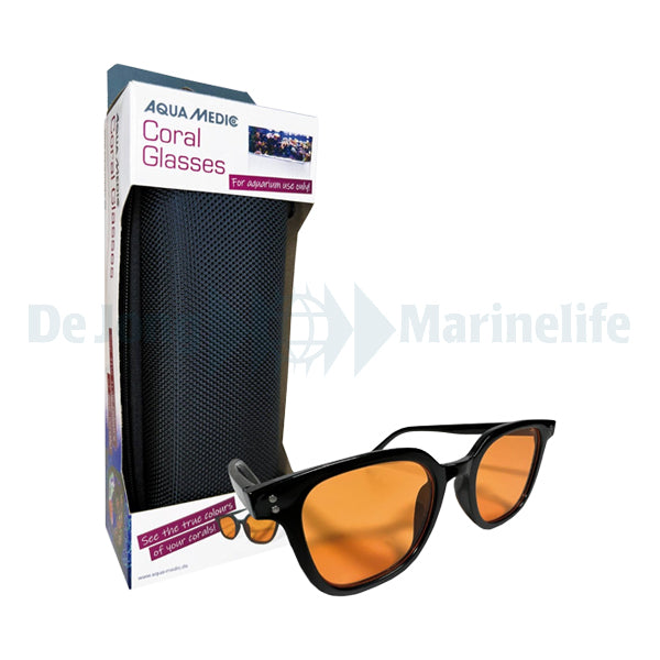 Coral Glasses