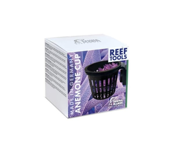 Anemone Cup