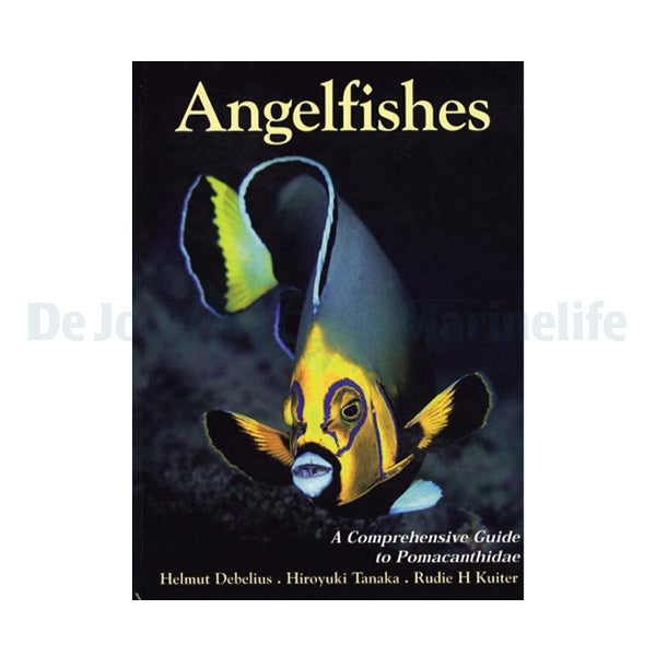 Angelfishes Guide
