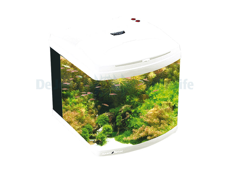 Aquarium Evolution 1 - Pearl White