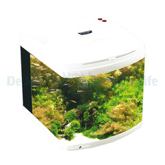 Aquarium Evolution 1 - Pearl White