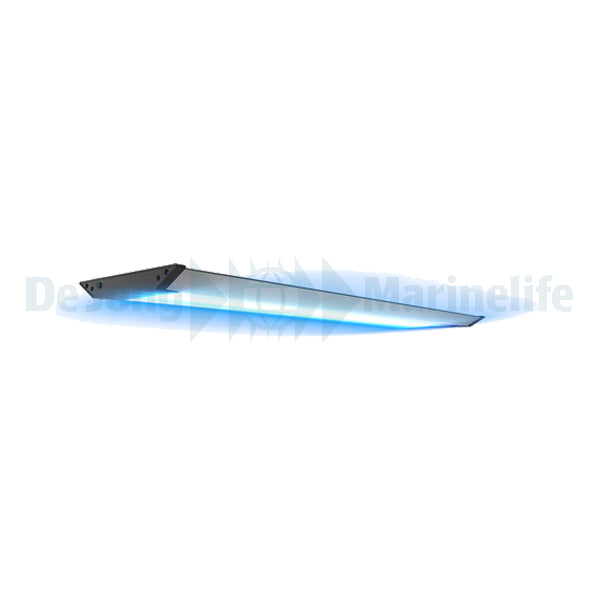aquarius 90 plus