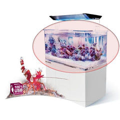 Aquarium Armatus XS