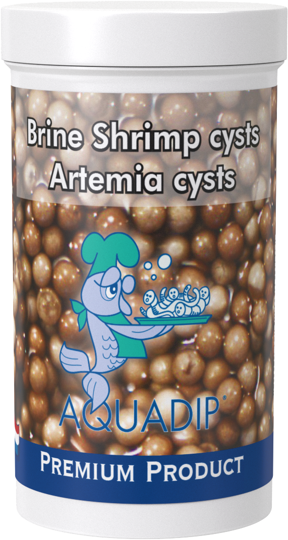 Artemia Brine Shrimp Cysts - 6 g