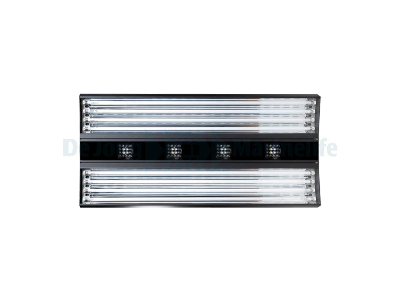 AURORA V8 - 1200 mm - 800 W - Irridium