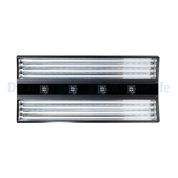 AURORA V8 - 1200 mm - 800 W - Irridium