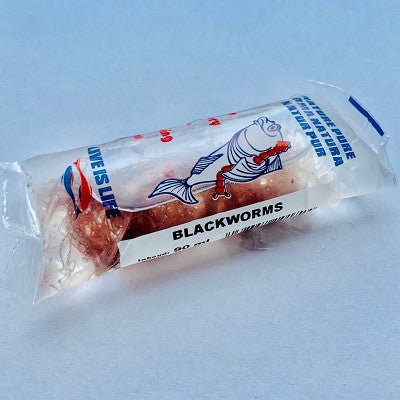 Blackworms 90 ml. Lombriculus var.