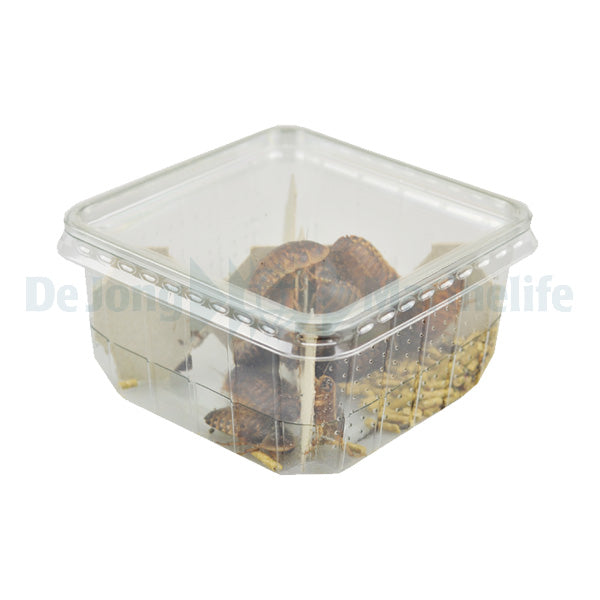 Blaptica Medium Tub - 15 pcs