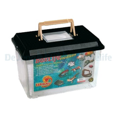 Boxlife Medium 29,5X19,5X20