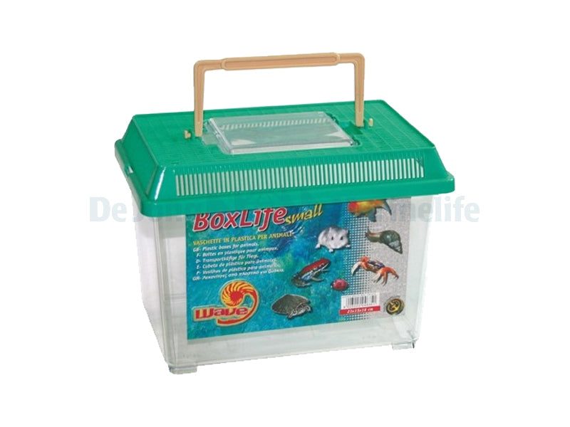 Boxlife Small 23X15X16