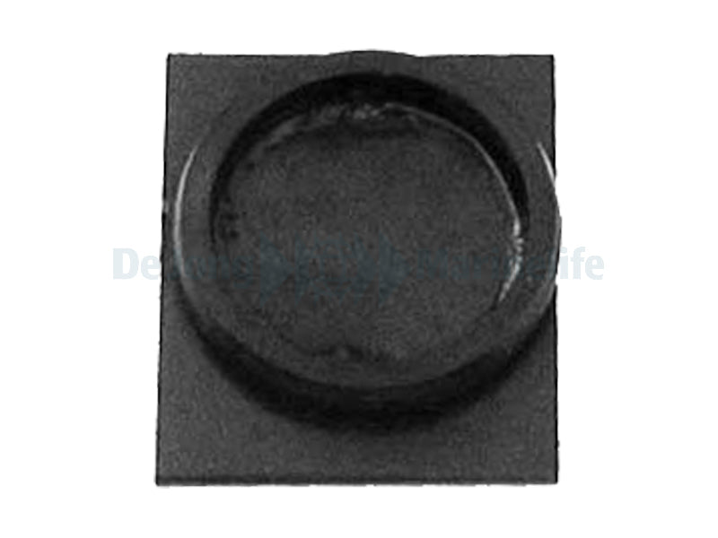 Cap with cover